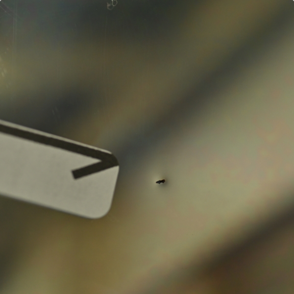 目立つ打痕（各種共通）